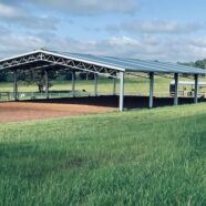 Horse arena shed